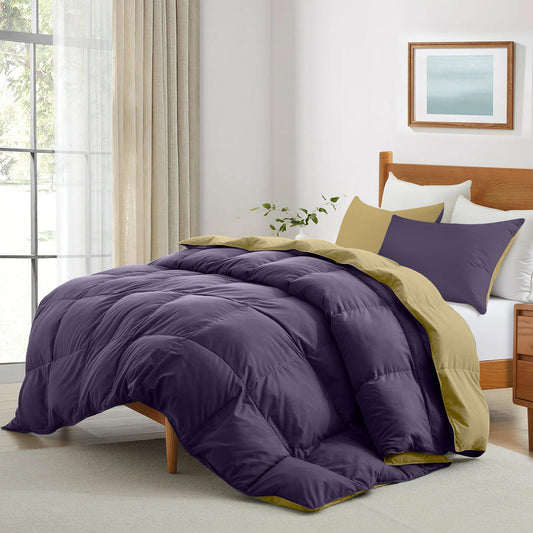 All Season Violet Super Soft Reversible Comforter Set 220x240cm