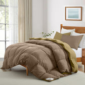 All Season Gold Super Soft Reversible Comforter Set 220x240cm with 2 Pillow Case