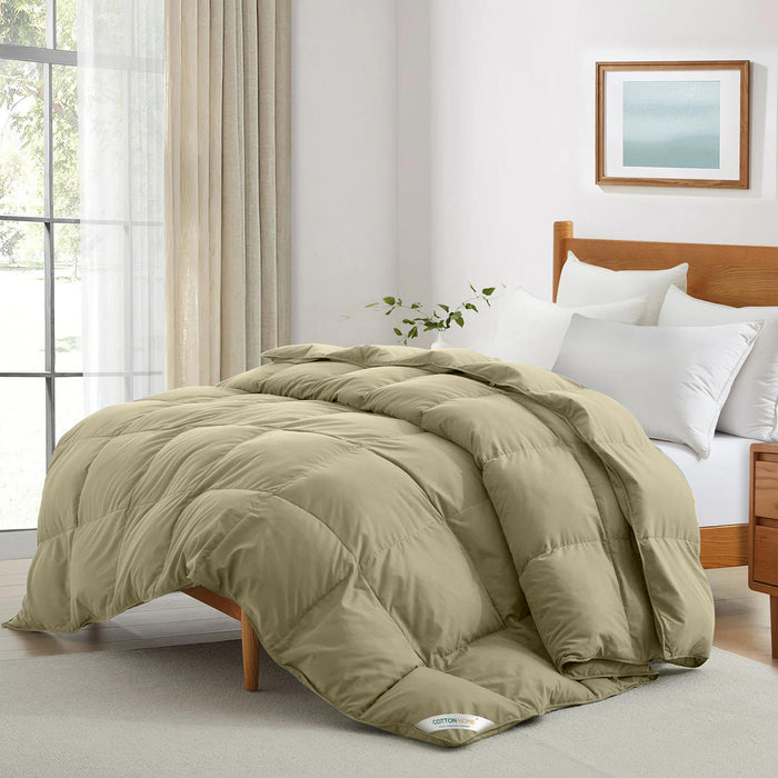 11.11 Deals at Cotton Home: Exclusive Offer on Adult Roll Comforter Fitted Sheet Pillow Cover & More! King