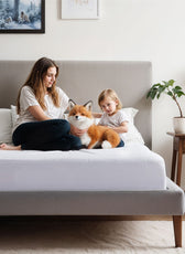 Home Fest 2025 Comfort Combo – Queen Mattress Protector 2PC Pillow Protector with Pillows Terry
