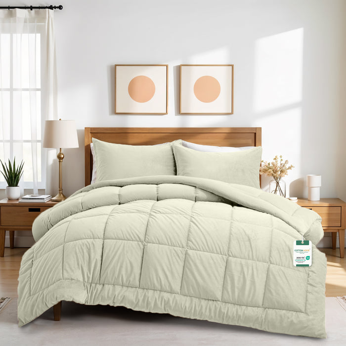 Luxury Velvet 3-Piece Queen Comforter Set - 220x240 cm- Ivory