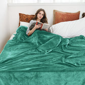 Flannel Blanket Queen 220x240cm Suitable for All Seasons, Warm Throw Blanket  - Mint green