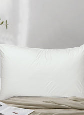 Home Fest 2025 Comfort Combo – 2PC Pillow Protector with Pillows Terry