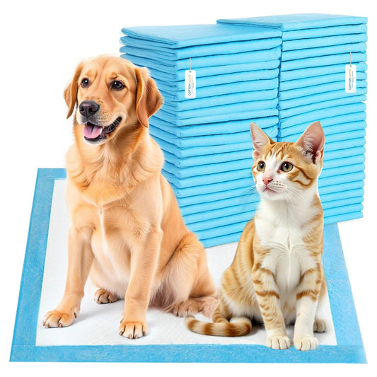 Ultra-Absorbent Disposable Pet Training Pads – Leak-Proof & Quick-Drying 60x60cm, Pack of 40