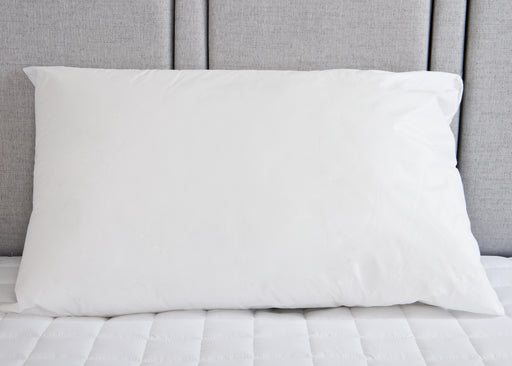 Sanitized pack of 2 Pillow - 50x75cm - Cotton Home